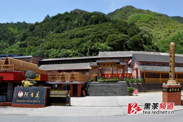 【黑茶文化节名优茶企展】湖南阿香茶果食品公司：健康就是美
