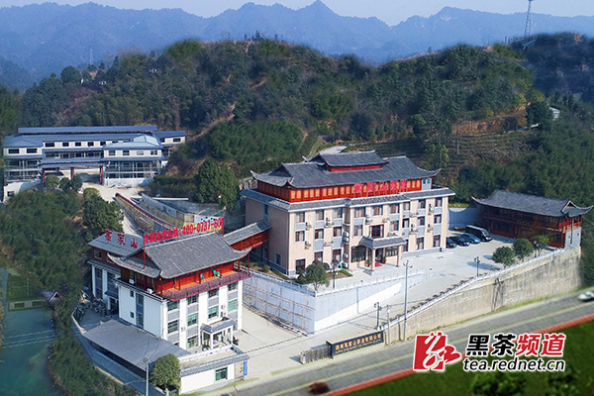 【黑茶文化节名优茶企展】湖南高家山茶业：做好茶 成大器