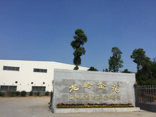 【黑茶文化节名优茶企展】益阳龙岭黑茶：历经磨练 彰显纷华