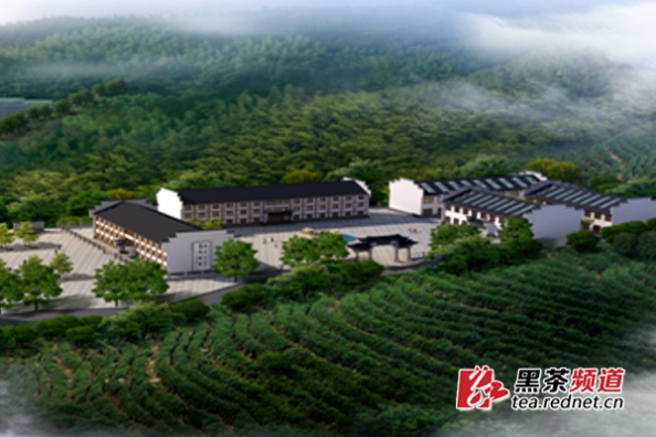 【黑茶文化节名优茶企展】湖南褒家冲茶场：匠心铸精品