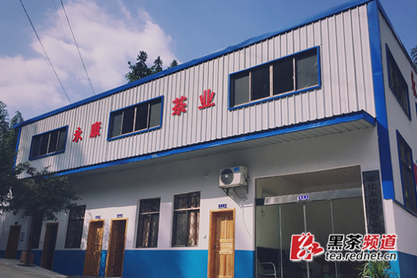 【黑茶文化节名优茶企展】安化永康村茶业：做有故事的养生茶