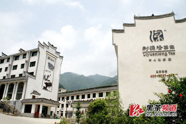 【黑茶文化节名优茶企展】湖南利源隆茶业：专心做好茶