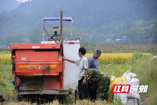 中午时分，村民还在田间忙碌。