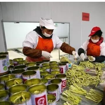 2018中国国际食品餐饮博览会举行，沅江芦笋会上受热捧