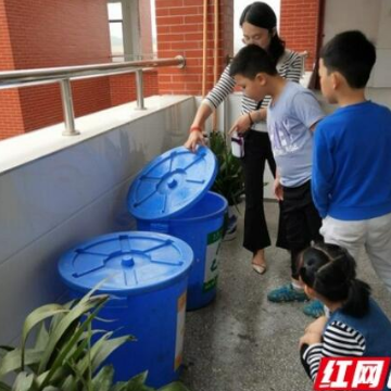 桃江灰山港镇：紫荆花小学对垃圾进行精细化分类处理