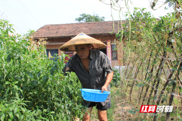 “没有妈妈，还有爷爷奶奶”——沅江七旬老汉为孙女撑起成长蓝天