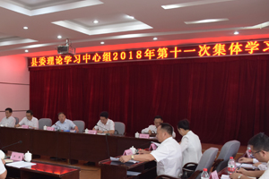 溆浦县委理论学习中心组举行2018年第十一次集体学习
