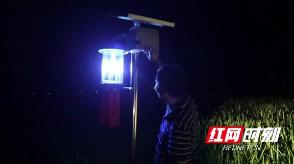 邵阳县：农业植保开启“绿色防控”新时代