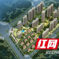 碧桂园•东城首府智慧5.0产品发布盛典举行