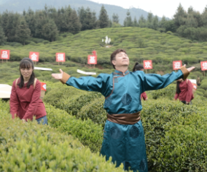 【黑茶文化节名优茶企展】安化县天泉茶业：让茶叶自己“说话”