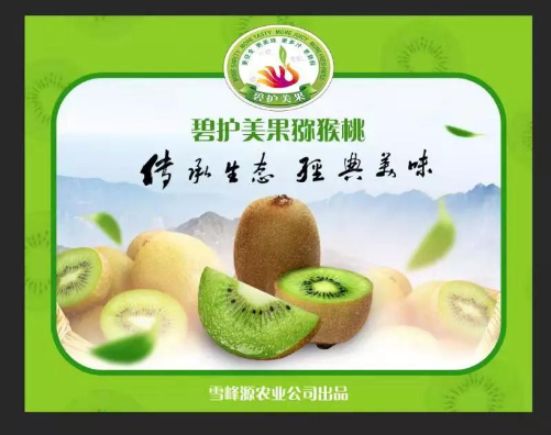 “傻子”和“疯子”种出来的猕猴桃， 死磕一年终成正果！