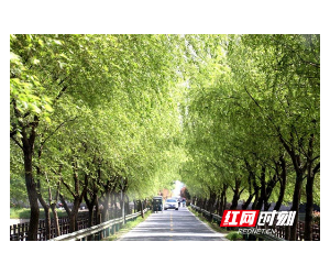 常德经开区交通管理办 管好一条公路  造福一方百姓