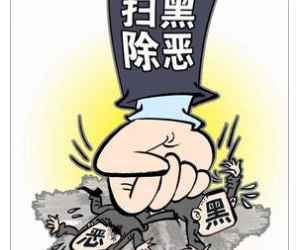 关于省扫黑除恶专项斗争第五督导组举报电话、举报邮箱和举报信箱停用的公告