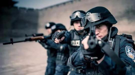 武冈市扫黑除恶专项斗争战果多多