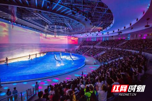 海洋主题文旅综合项目有意落地郴州 打造最具海洋文旅地