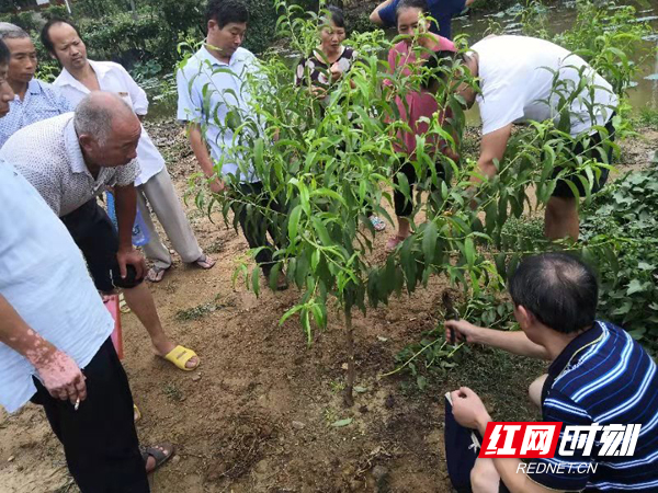 ????_20181025171535??.jpg ????_20181025171535??.jpg