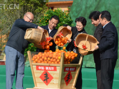 永州之野橘香世界 2018年永州第二届柑橘文化旅游节开幕