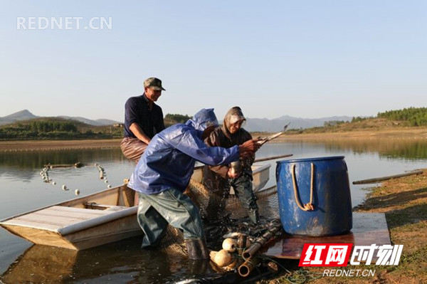 新田县是“中国天然富硒农产品之乡”“湖南省原生态富硒食品基地县”，该县种植、养殖的蔬菜、鱼禽畜类产品均有较高的含硒量，农副产品深受消费者青睐，远销港澳国外，供不应求。