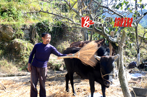 帮扶轶事｜杨大辽：只要勤快肯干，就一定能脱贫