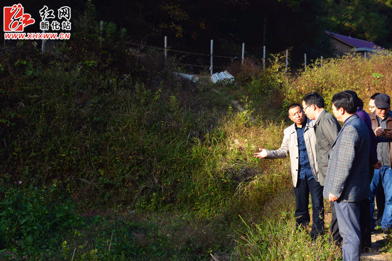 DSC_2551_副本.jpg