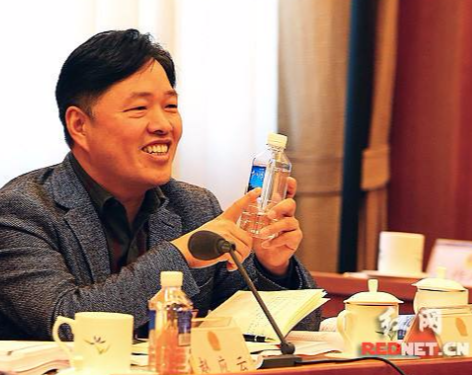 王填将重掌步步高商业CEO 
