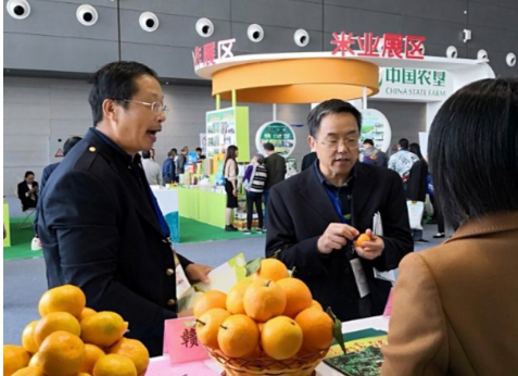 市农委组织党员干部赴长沙参观“两会”