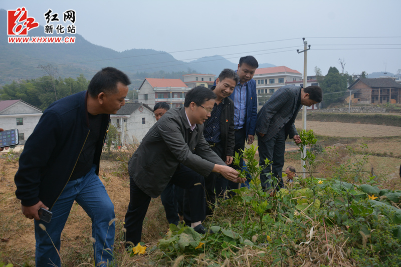 DSC_2905_副本.jpg