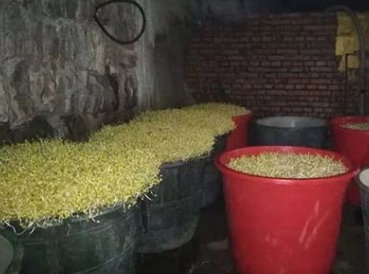 【桑植警事】桑植县：破获一起生产销售有毒有害食品案
