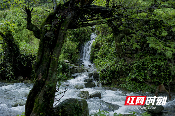 少数民族特色村镇牧笛溪村溪水清清牧笛悠扬