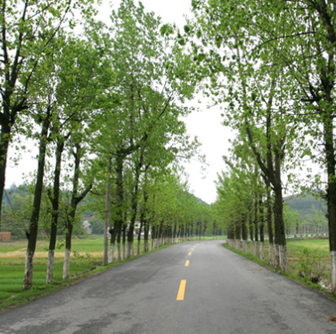 【奋进改革路 建功新时代⑭】娄底：风雨筑坦途  交通谱华章