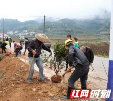 安化百选村党建 凝聚力量共筑幸福家园