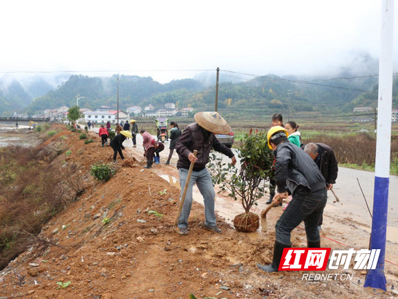 党员、村民齐上阵，共建美丽家园.marked.png