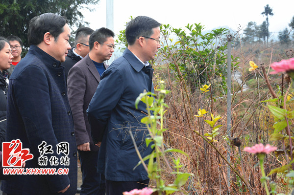 DSC_3989_副本.jpg