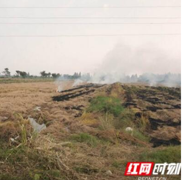 大通湖区开出首张秸秆禁烧罚单