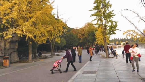 res03_attpic_brief (1).jpg