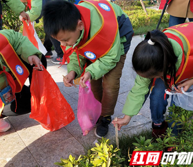 石鼓区：文明创建增秀色“志愿红”暖五一