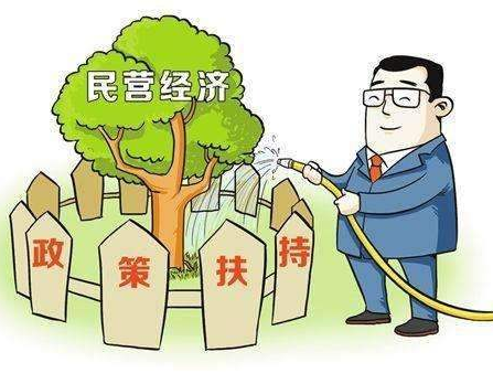 石鼓区民营企业家热议习近平重要讲话：吃下"定心丸"