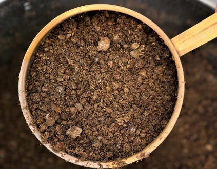 中国“藏医药浴法”正式列入联合国非遗名录