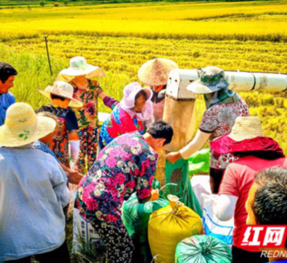隆平高科全球摄影大赛举行 全景展现现代农业之美
