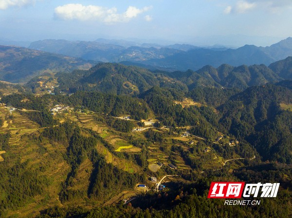 命运多舛的独腿男人,自强不息用双拐撑起"玻璃家"_民生_湘西站_红网