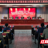 湖南省基层医疗机构基本医疗服务能力同质化提升工程在桃江启动