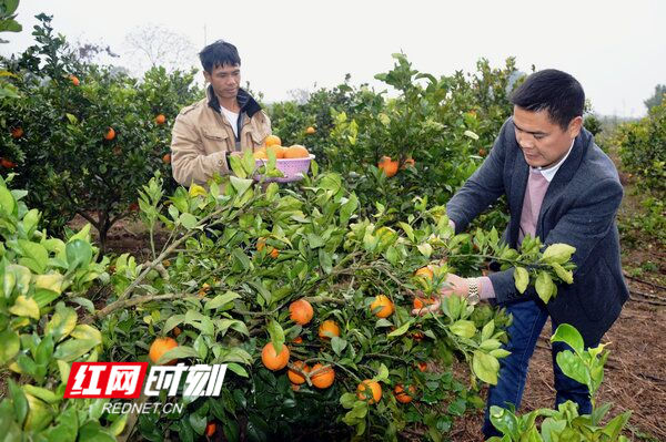 江华山寨村：多业并举奔小康