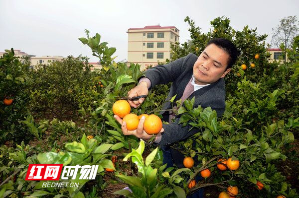 江华山寨村：多业并举奔小康