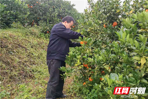 微信图片_20181202175312-1_副本_副本.jpg