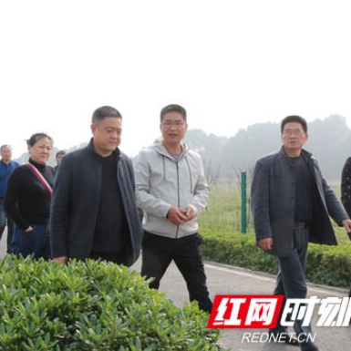 安化东坪镇30余名干部前往智慧农业第一村“取经”