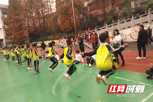 株洲市天鹅湖小学图片