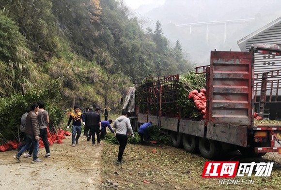 微信图片_20181202150347_副本.jpg