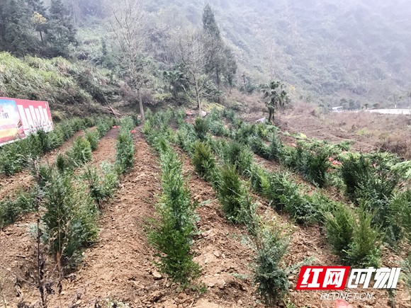 微信图片_20181202195324_副本.jpg