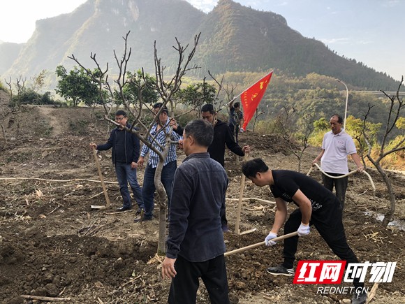 微信图片_20181102160409_副本.jpg