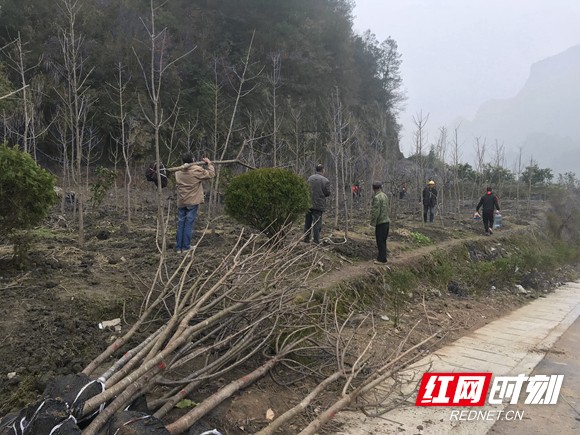 微信图片_20181202150422_副本.jpg
